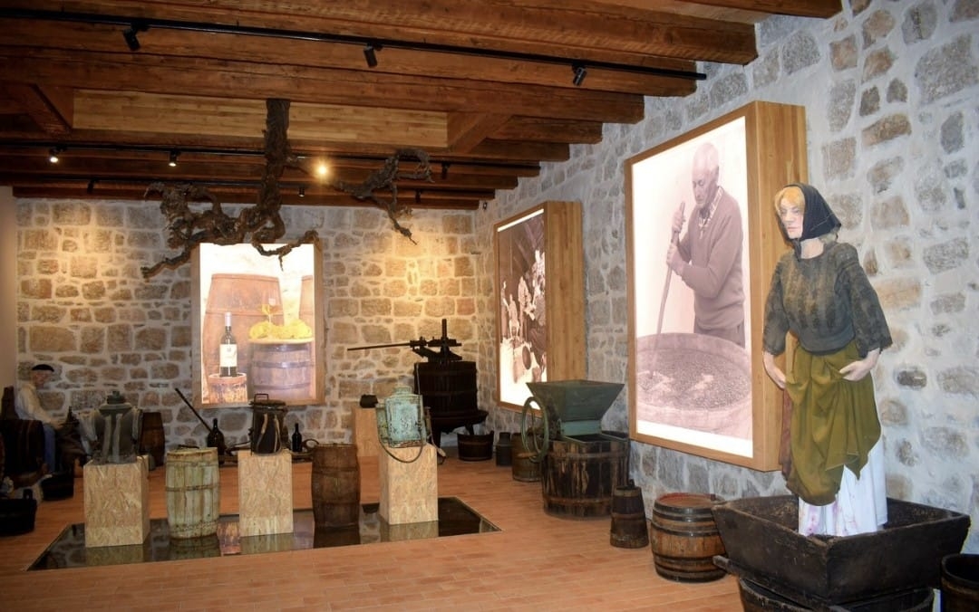 Museum Night at the Museum of Viticulture and Winemaking ‒ Putniković
